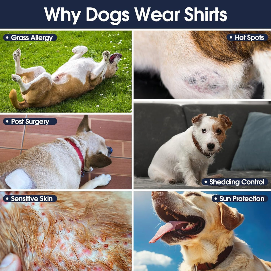 IECOii 2 Pack Dog Surgery Recovery Shirt Sleeveless Lightweight Dog