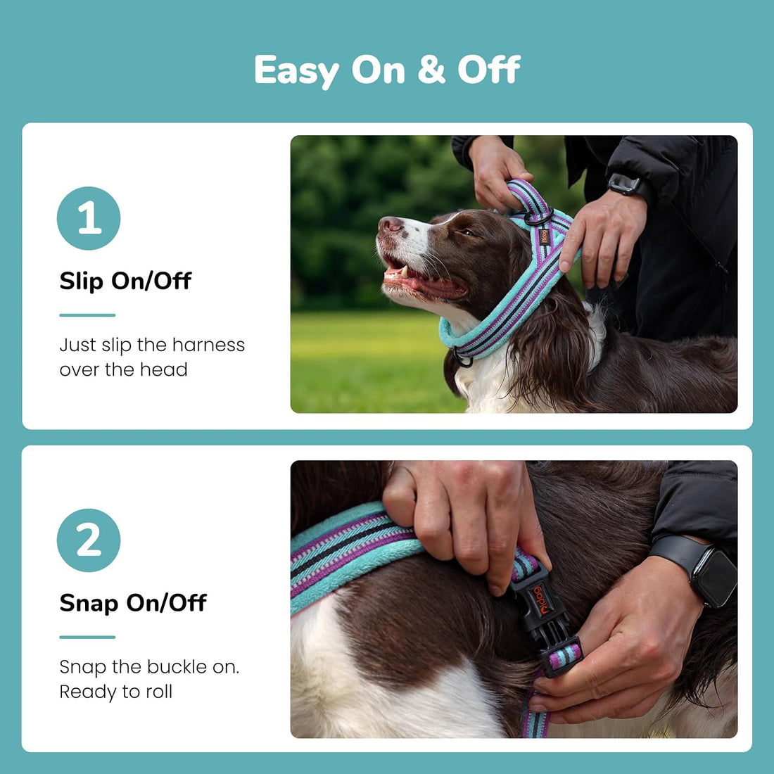 Didog No Pull Dog Harness for Small Dogs
