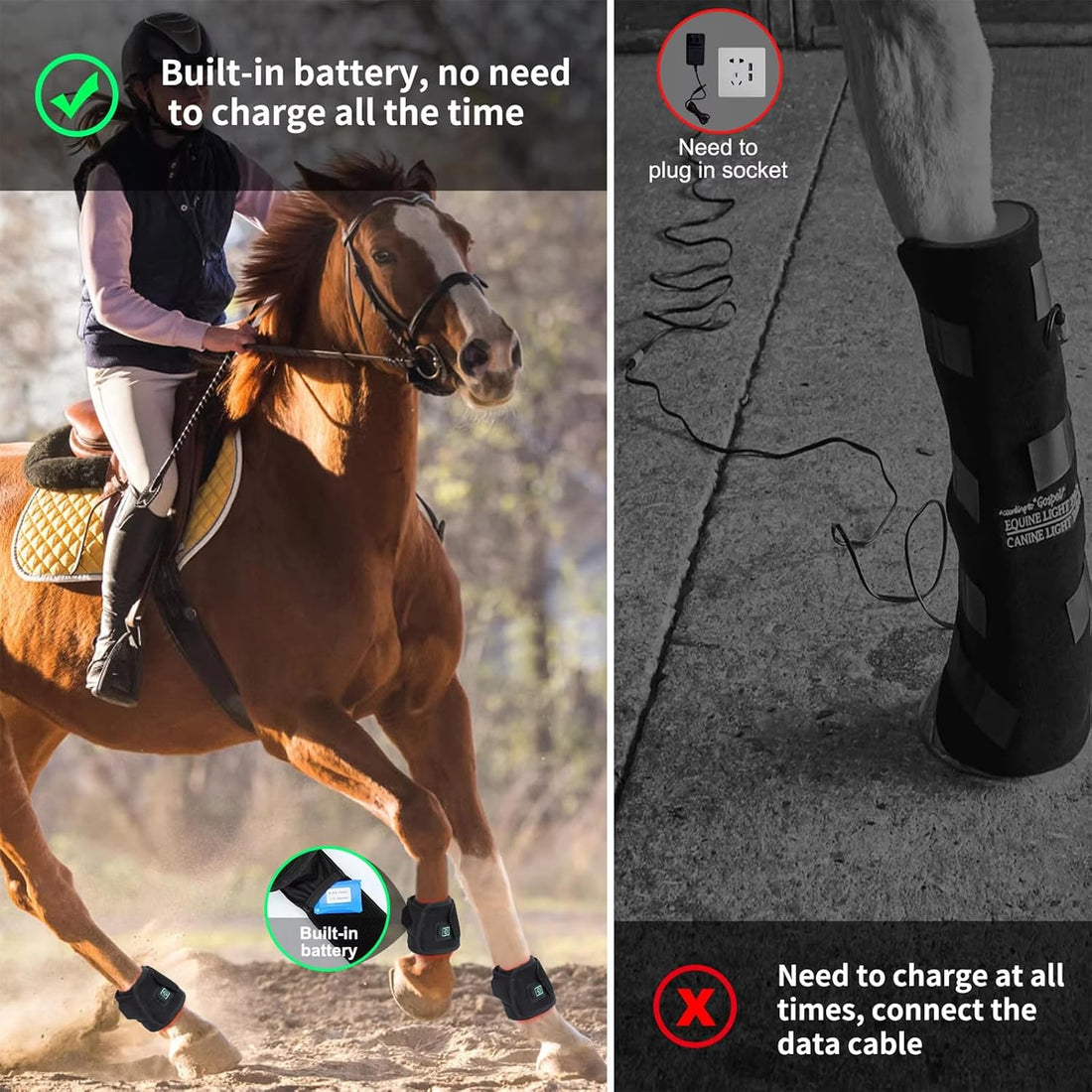 Red Light Therapy for Horses Hoof