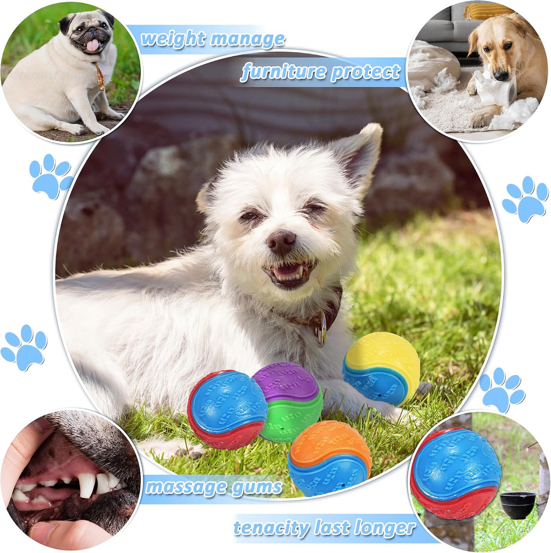 6Pcs Squeaky Dog Balls, Dog Toys Balls for Training