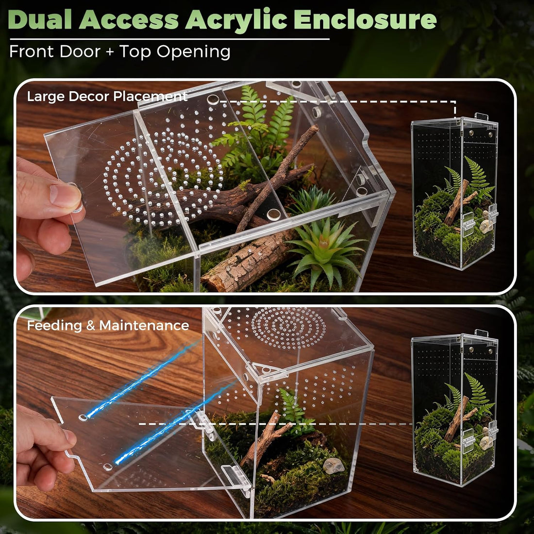 Jumping Spider Enclosure 4" x 4" x 8" Acrylic Habitat Kit