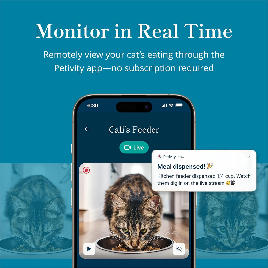 Petivity Smart Feeder for Cats App-Controlled, Multi-Cat Tracking