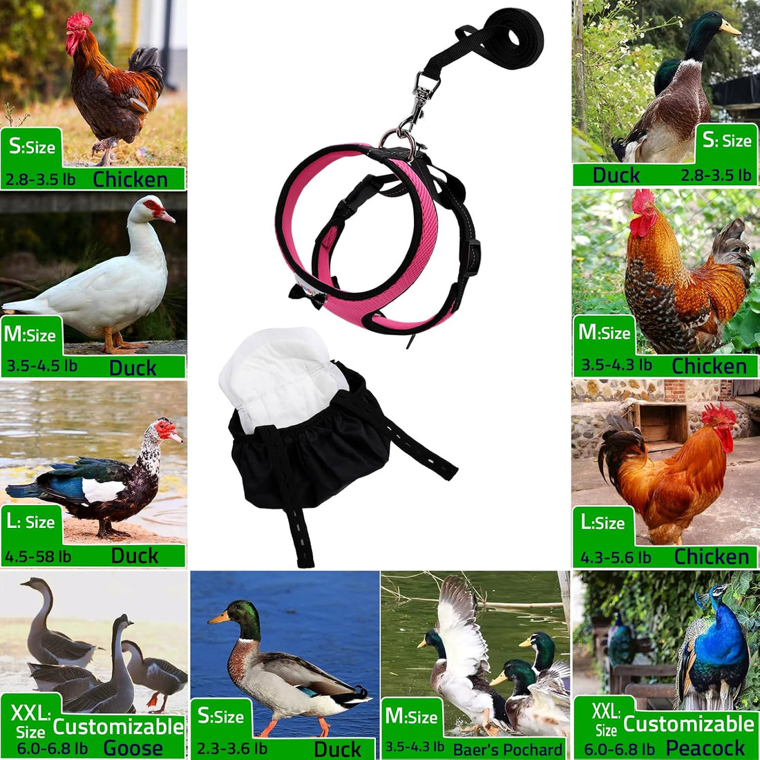 Adjustable Chicken Harness Diaper