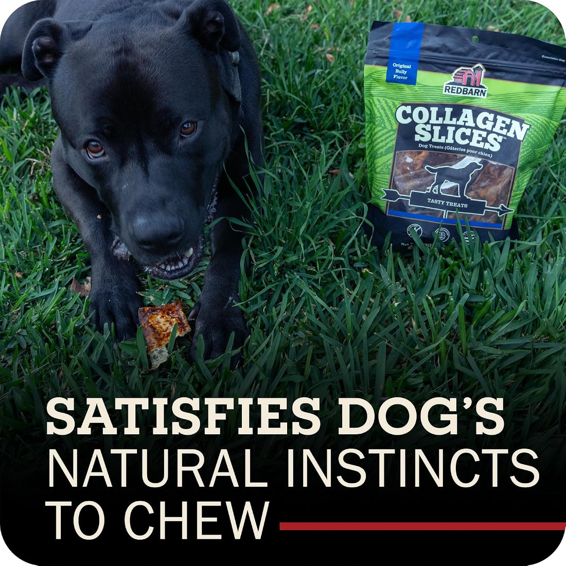 Redbarn Collagen Slices Beef Rawhide Chews for Dogs