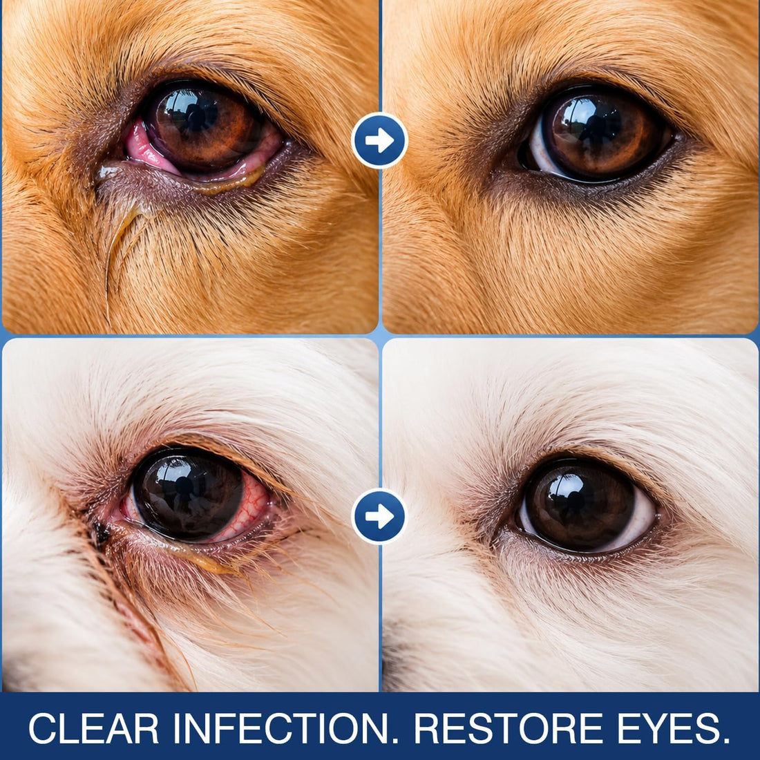 Pet Eye Care Cream, Cat & Dog Eye Area Care