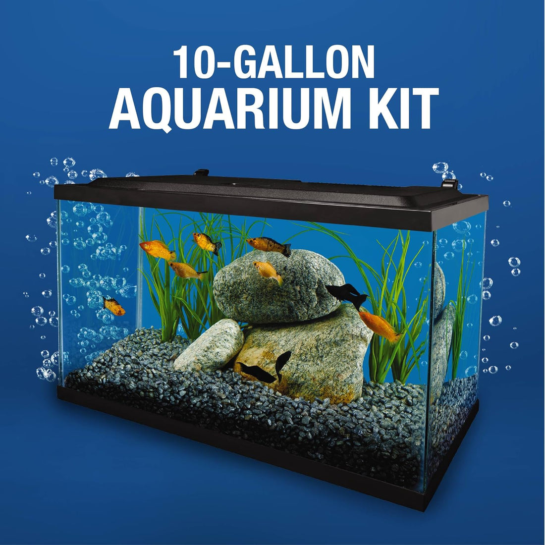 Tetra LED 10 Gallon Complete Fish Tank Kit