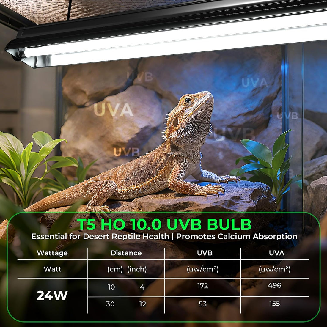 GlowUp 22 Inch T5 HO 10.0 24W Bearded Dragon UVB Light Bulb