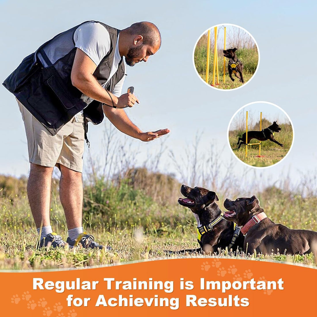 Dog Bark Deterrent Devices, Rechargeable Ultrasonic Anti Barking