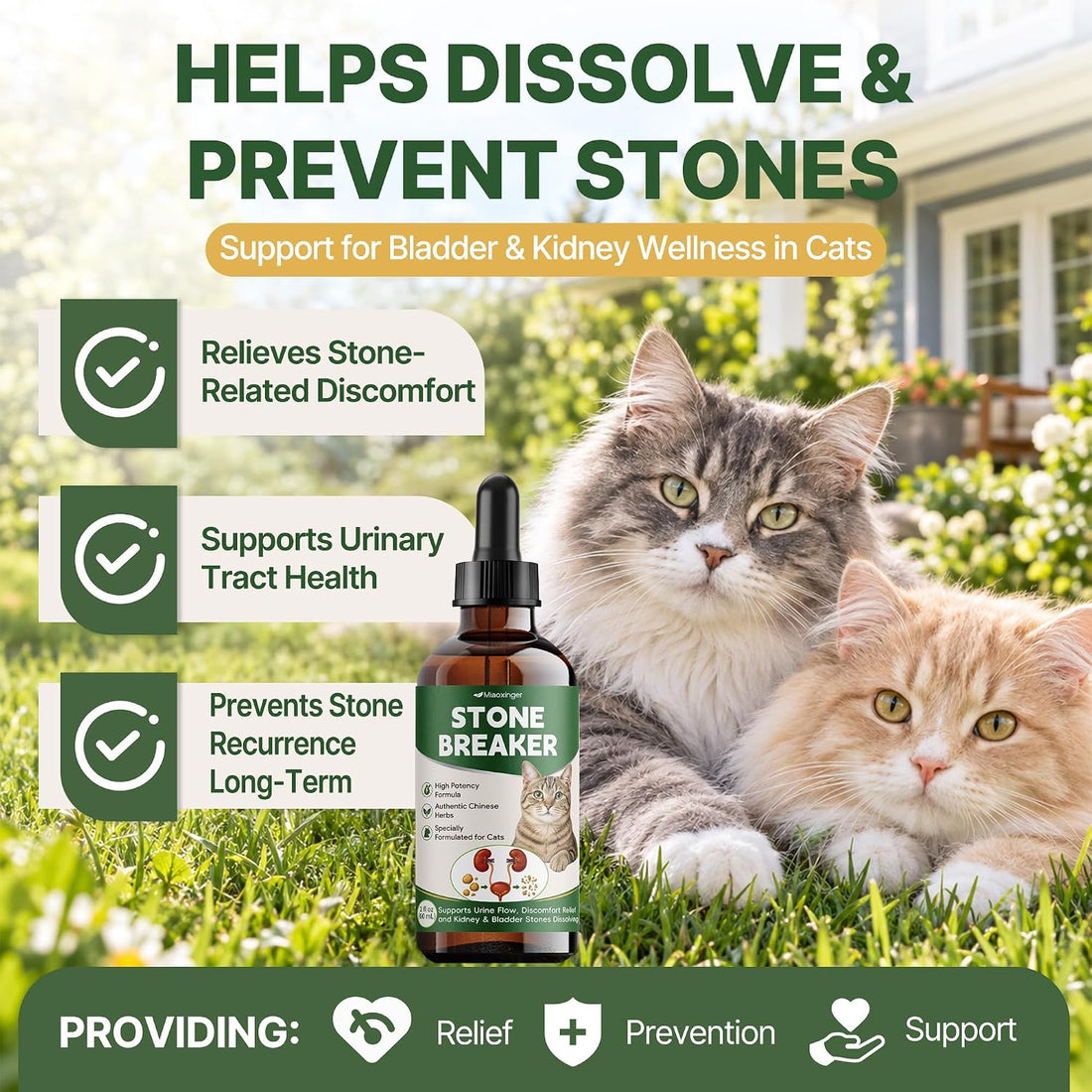 Kidney & Bladder Stones Dissolver for Cats– Traditional Herbal UTI
