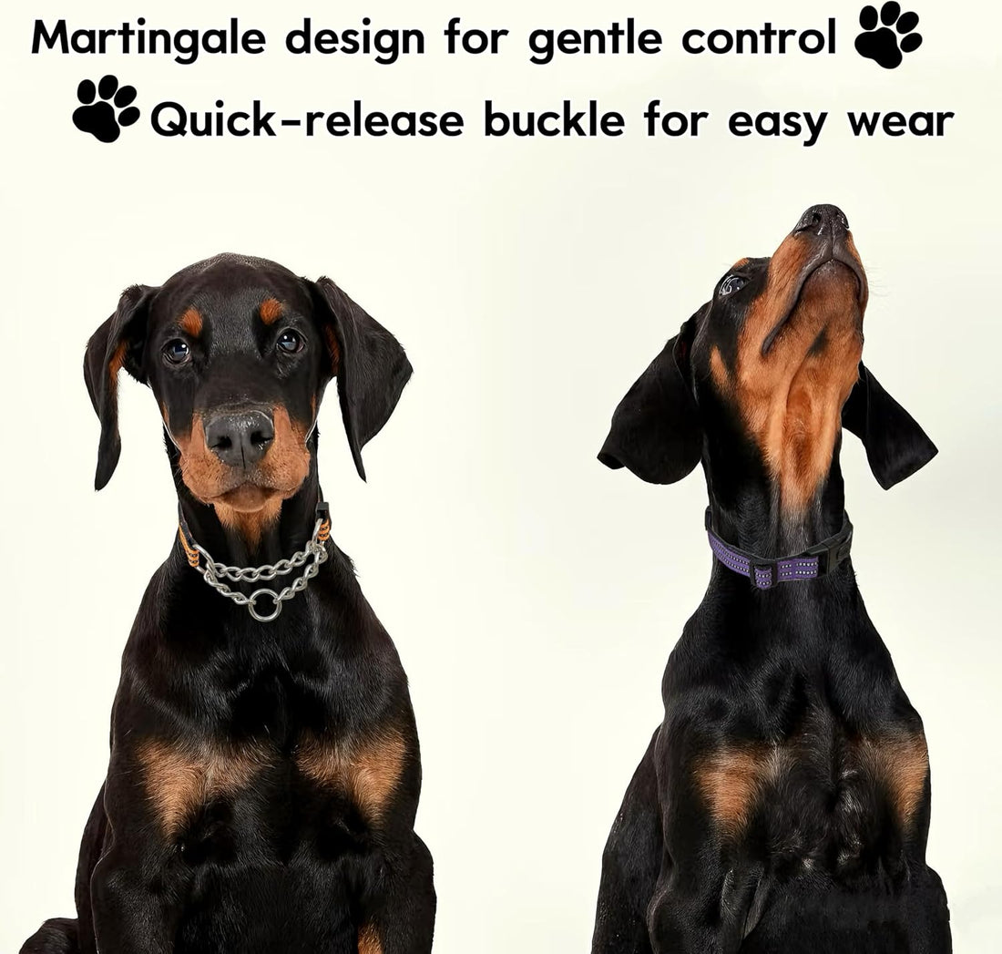 Chain Martingale Dog Collar, No Pull Reflective Training Collar