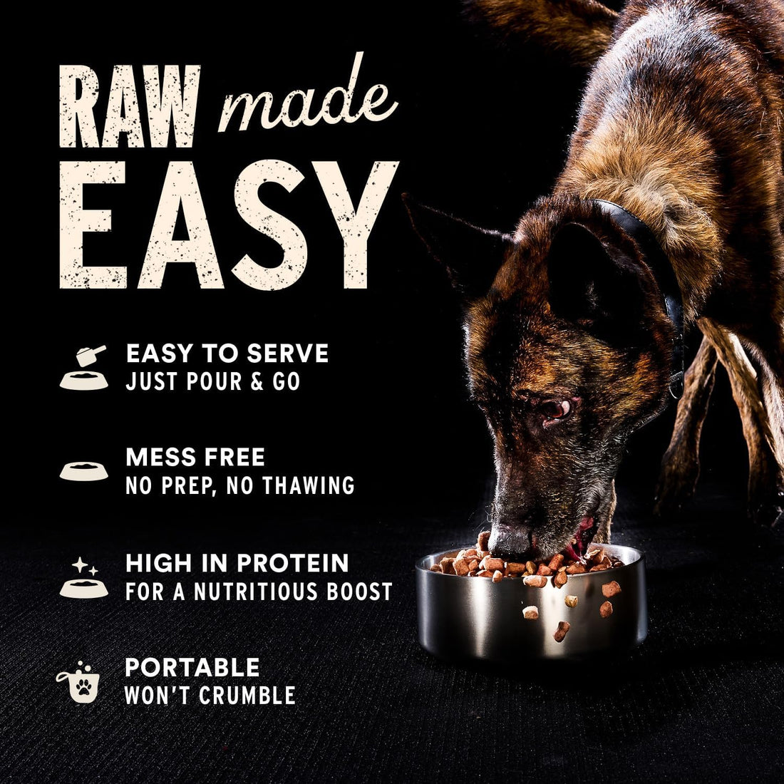 Vital Essentials Freeze Dried Dog Food, Raw Beef Crunchy Nibs