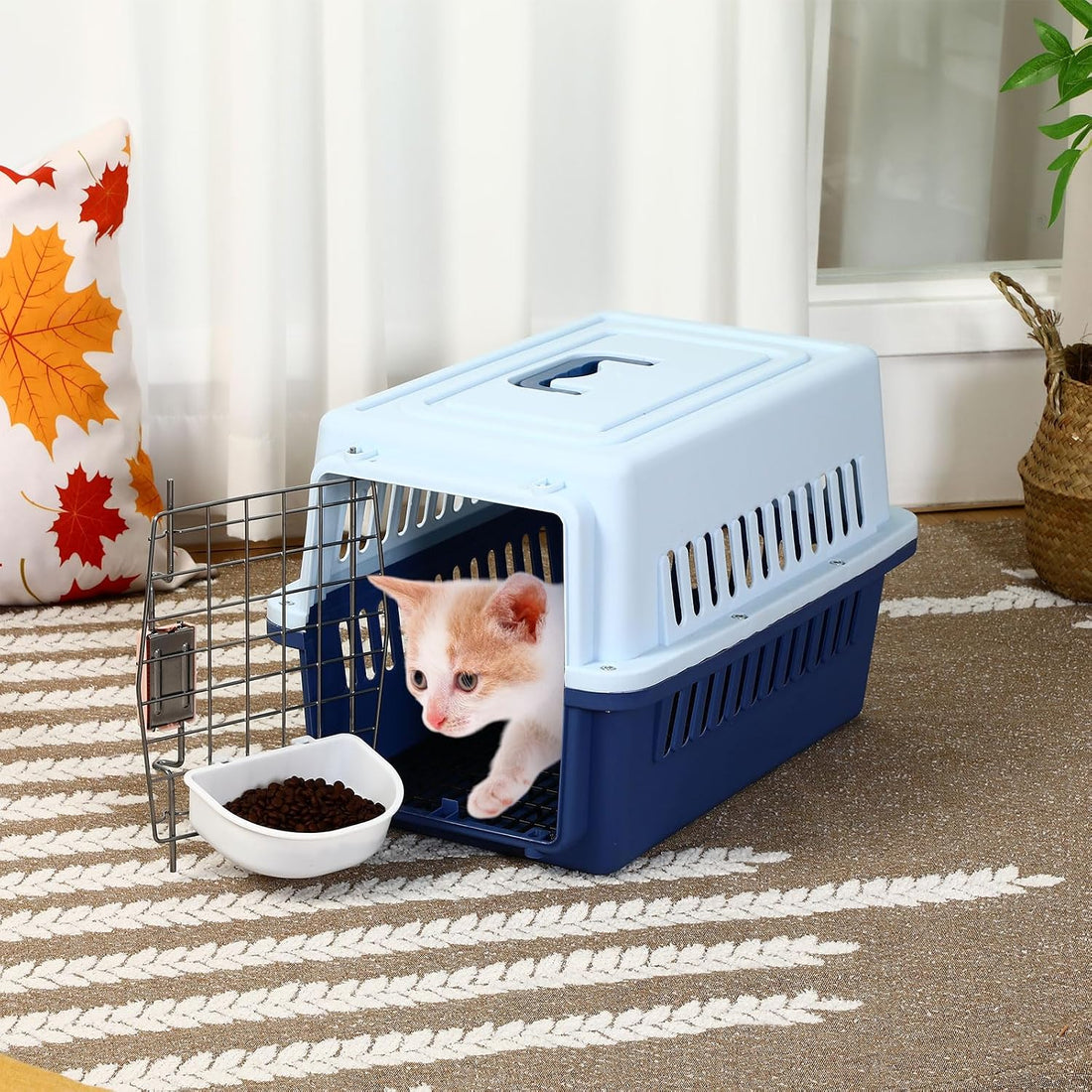 Maxdot 2 Pack 19" Hard-Sided Pet Carrier for Small Dogs and Cats