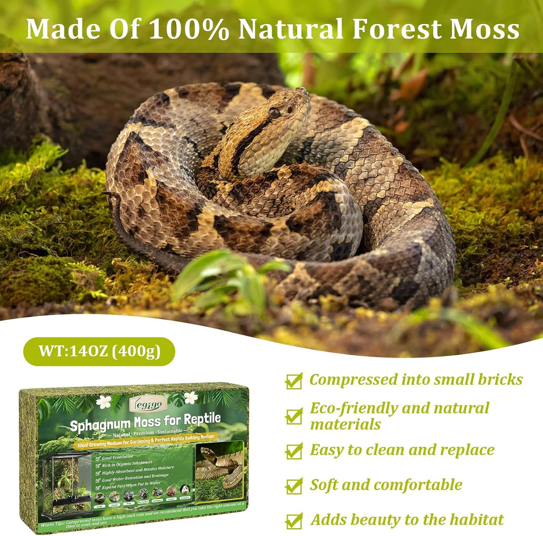 Legigo 14OZ Natural Sphagnum Moss for Reptile Terrarium Substrate