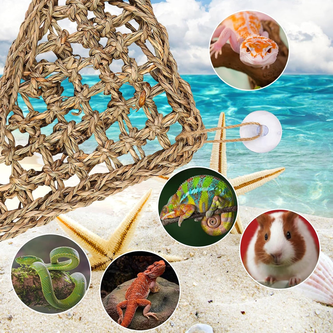 Hermit Crab Climbing Toys,Lizard Seagrass Mat,Hermit Crab Hammock