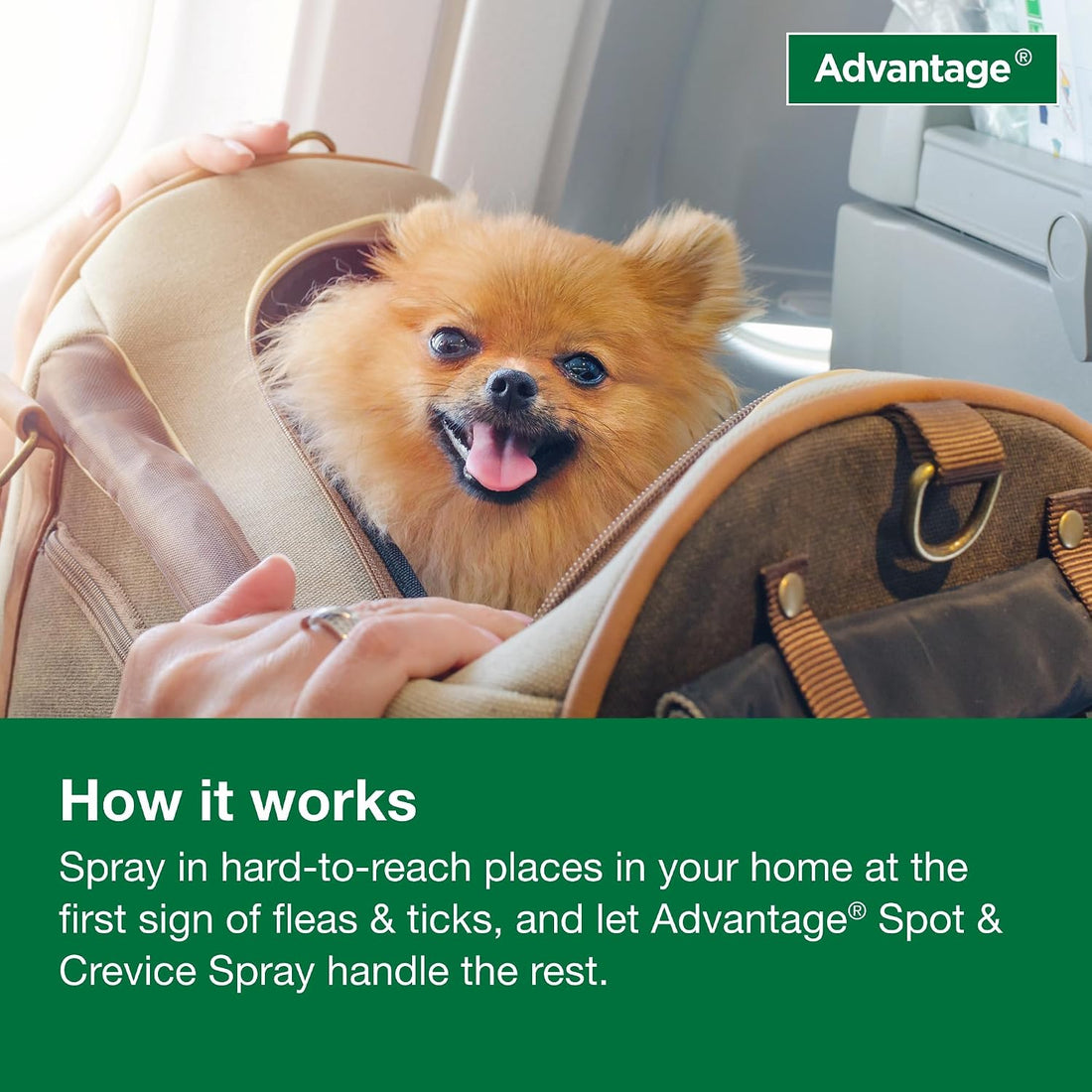 Advantage Spot & Crevice Spray, Kills Fleas & Ticks, 24 oz.