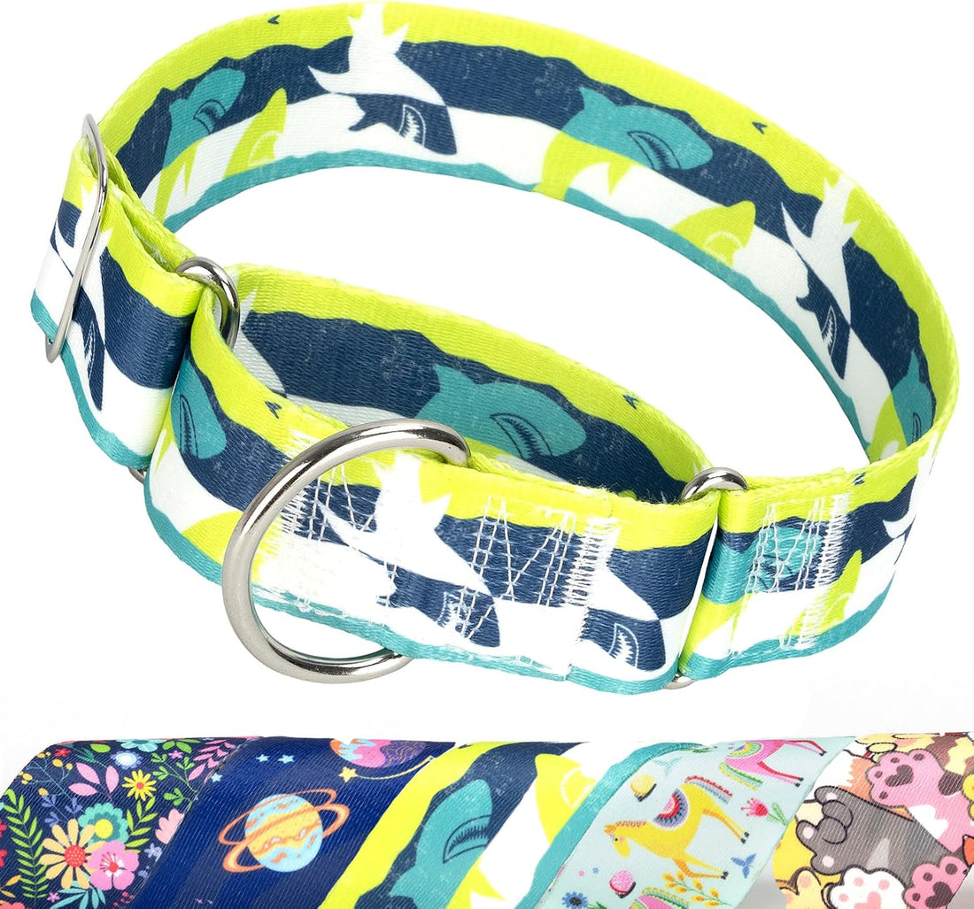 1.5 inch Skulls Martingale Collar for Dogs,Training Collar for Large