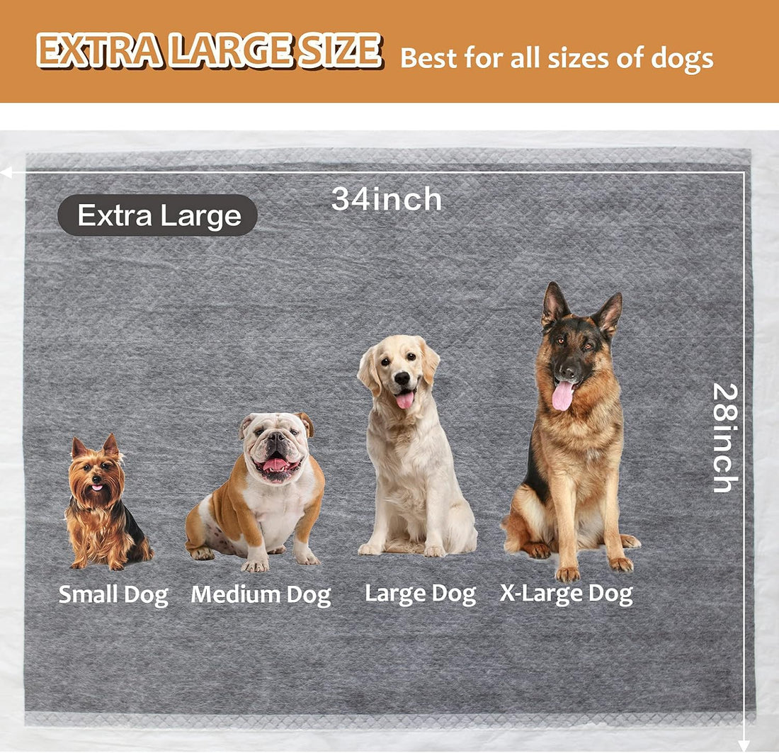 HIDOGGYLD Charcoal Puppy Pads with Adhesive Tape
