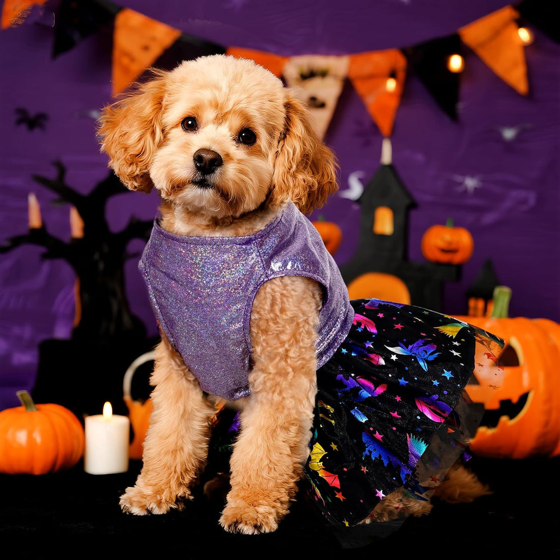 Dog Halloween Costume Dog Dress Witch Tulle Skirt Halloween Pet