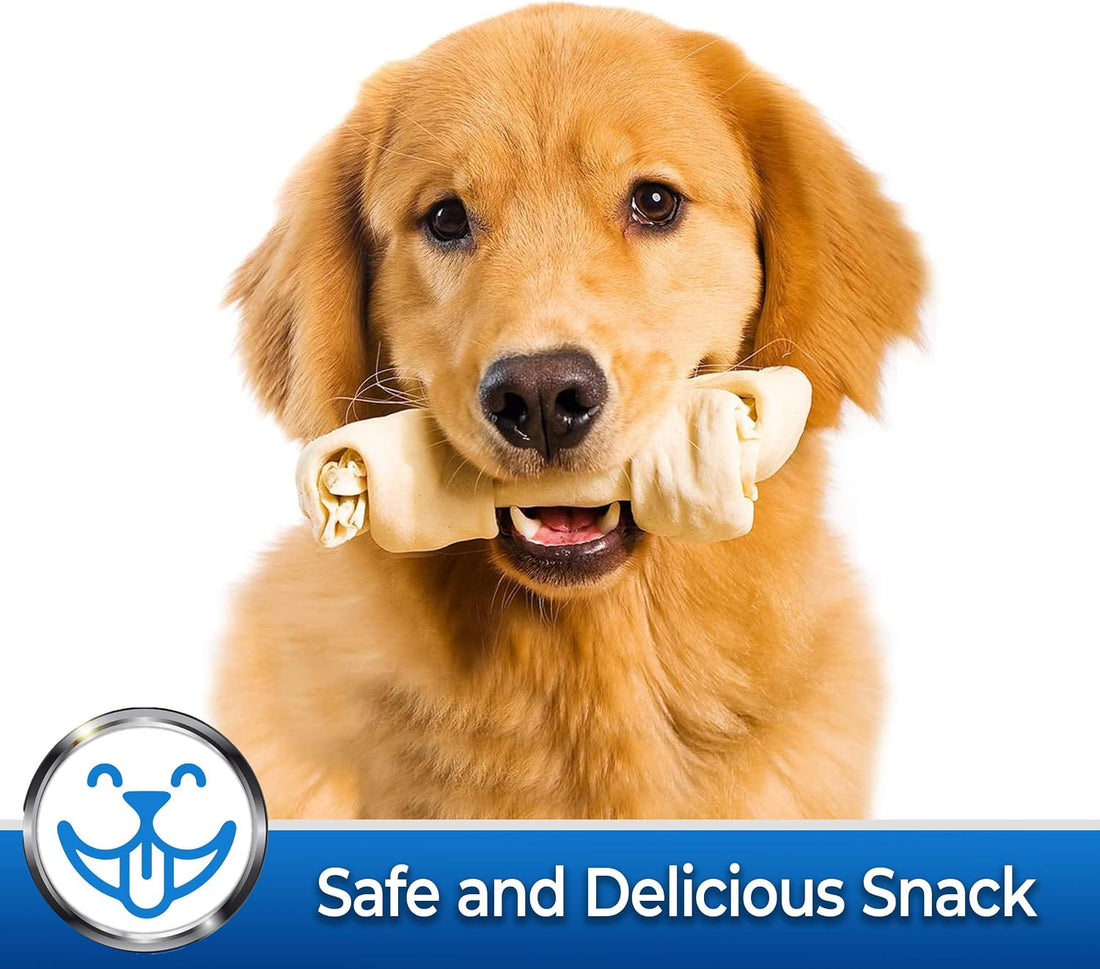 PET MAGASIN Natural Rawhide Bones Chewing Dog Treats, 10-Pack)