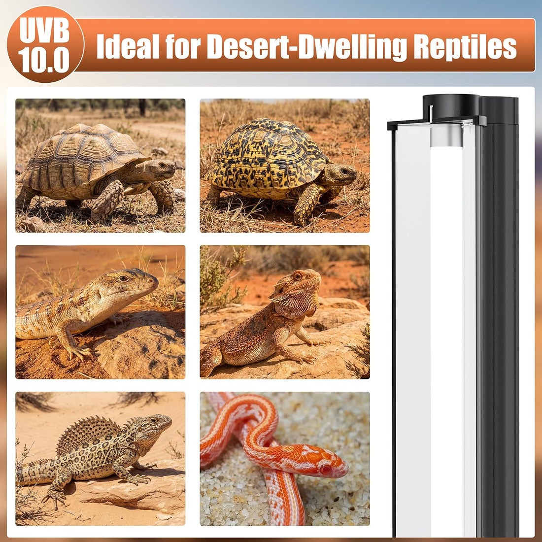 T5 UVB 10.0 Reptile Light Fixture Combo Kit