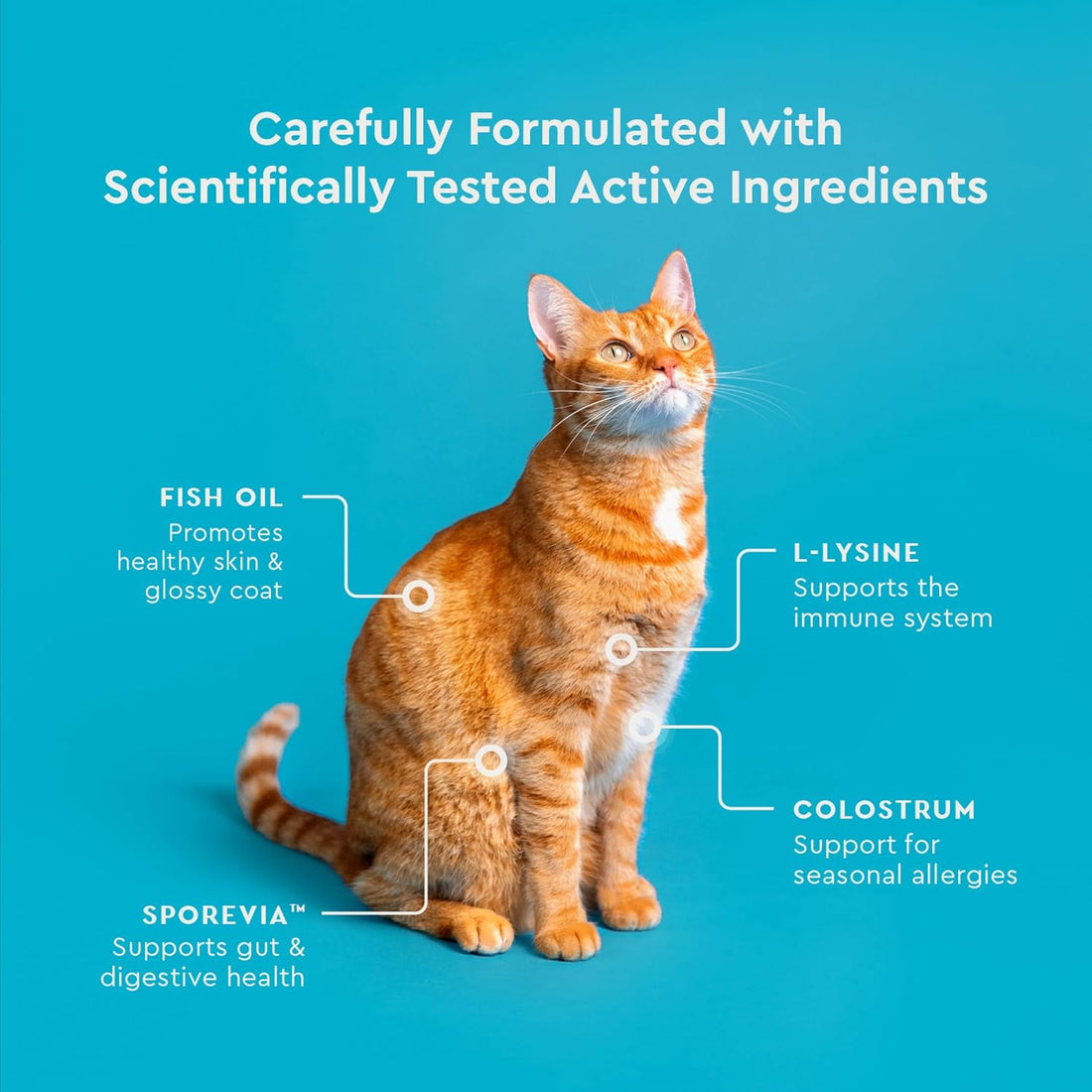 VetIQ Allergy Pro+ Relief, Cat Allergy Treats