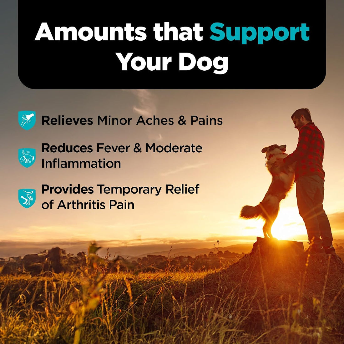 Nutri-Vet Aspirin for Dogs, Dog Aspirin, Pet Essentials