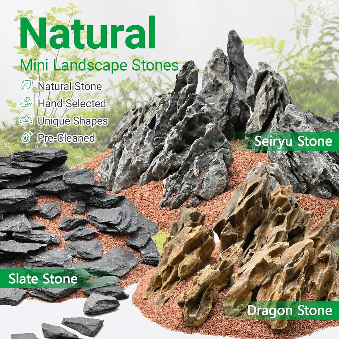 Natural Slate Stone 2-3 in 1LB Terrarium Rock for Miniature