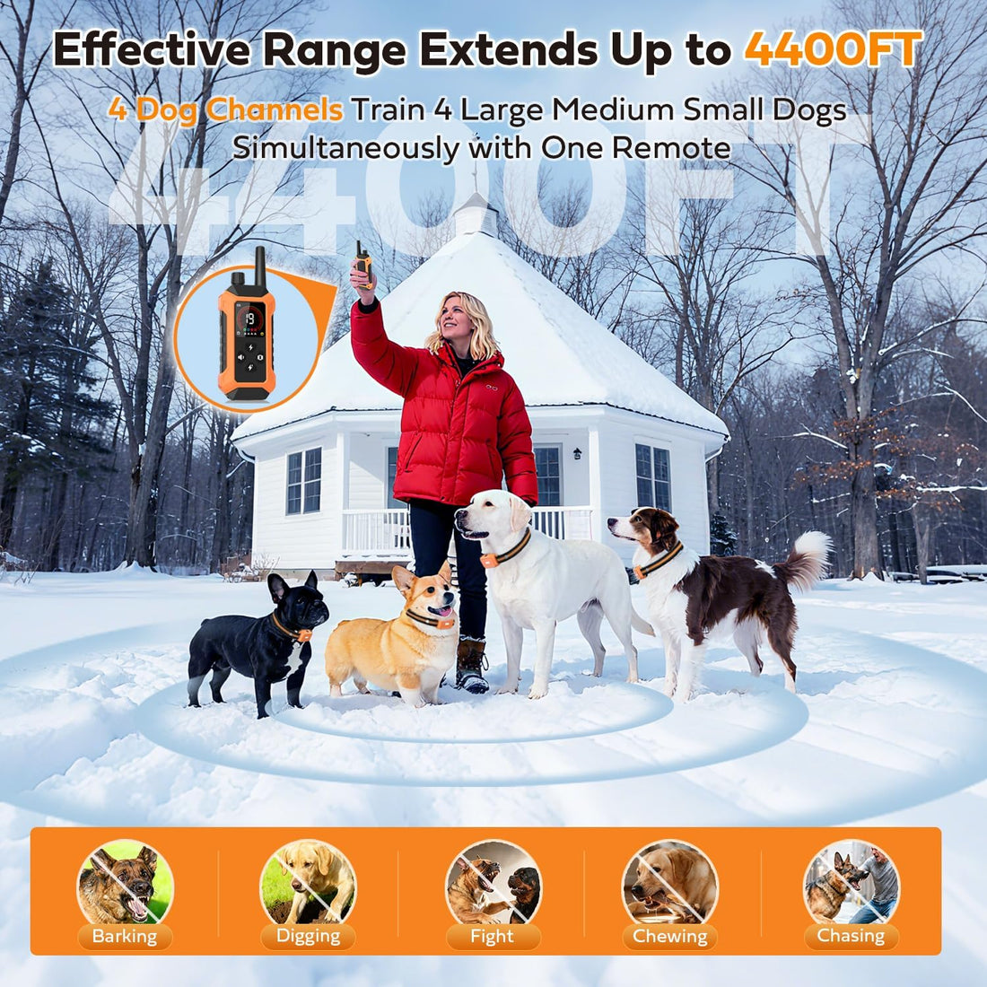 Shock Collar for 2 Dogs with Light Waterproof 2 Pack Remote Training