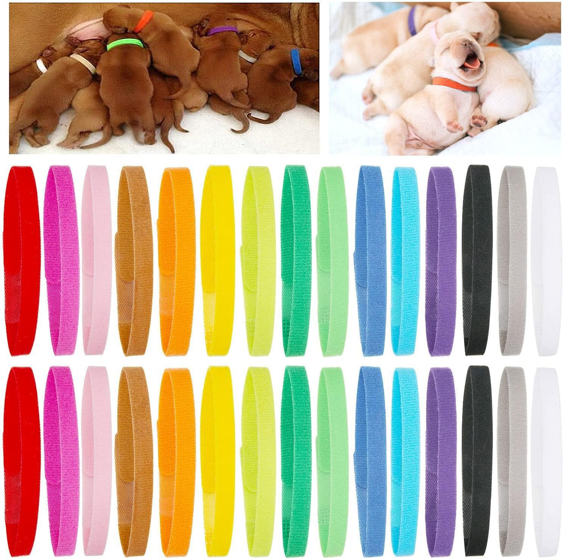 PETKNOWS 30 Pcs Puppy Whelping Collars Soft Newborn Kitten ID Bands
