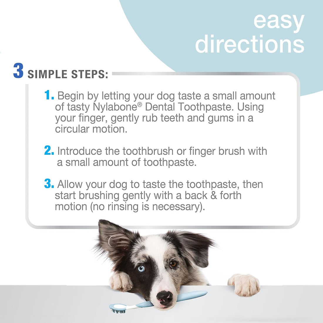 Nylabone Advanced Oral Care Tartar Control Dog Toothpaste Original