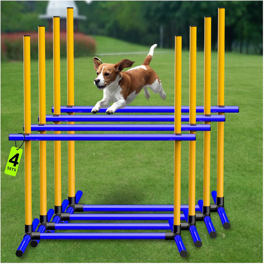 Dog Agility Set, Jump Ring, Jump Poles, Pause Box & Bag