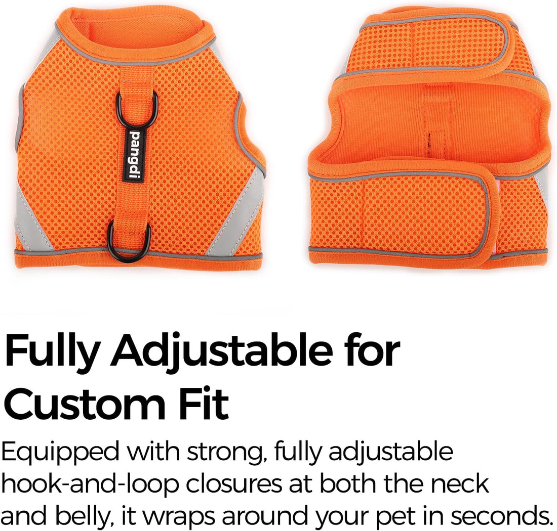 Cat Harness and Leash Set, No Over-the-Head Cat Vest, Orange, M