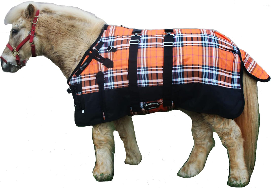 CHALLENGER 1200D Foal Winter Blanket Miniature Pony Donkey Bellyband
