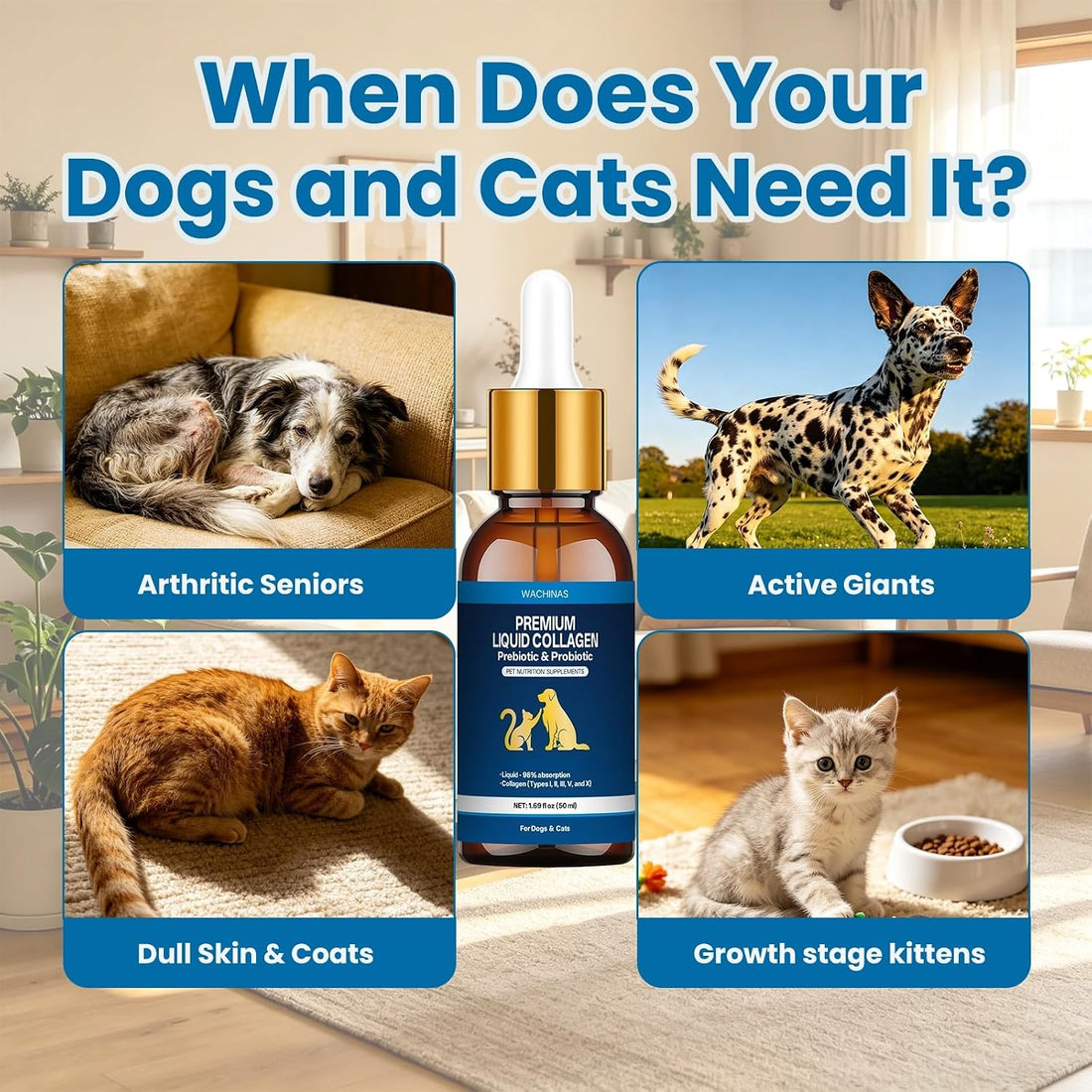 Premium Liquid Collagen & Probiotics for Dogs and Cats - Prebiotics