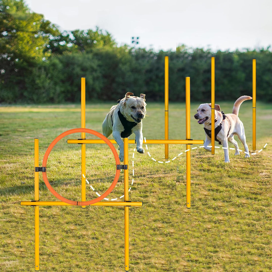 TNZMART 2.6 FT Dog Agility Obstacle Course Backyard Set with Wave