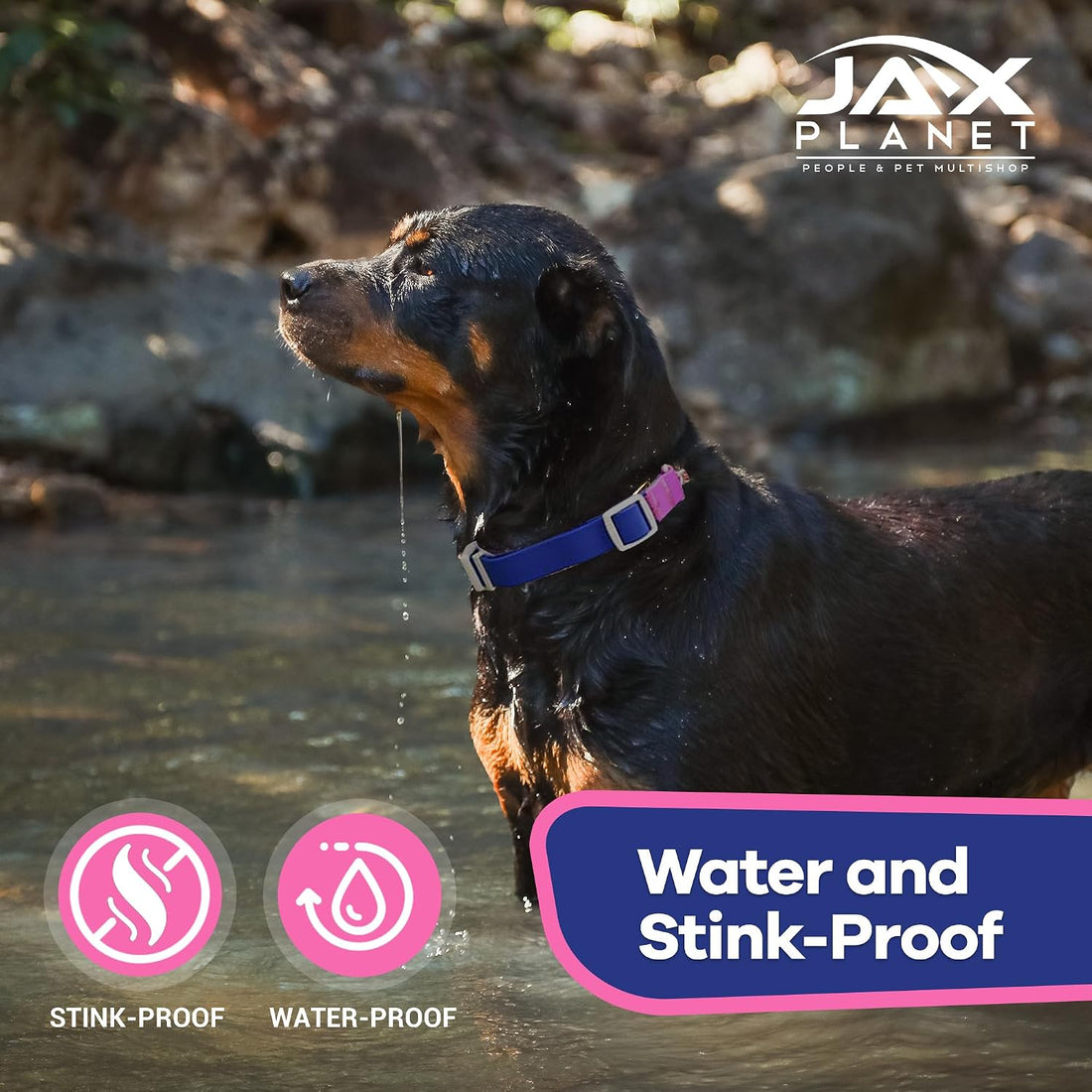Jelly No Pull No Slip Waterproof Martingale Collar for Dogs, Blue Rose