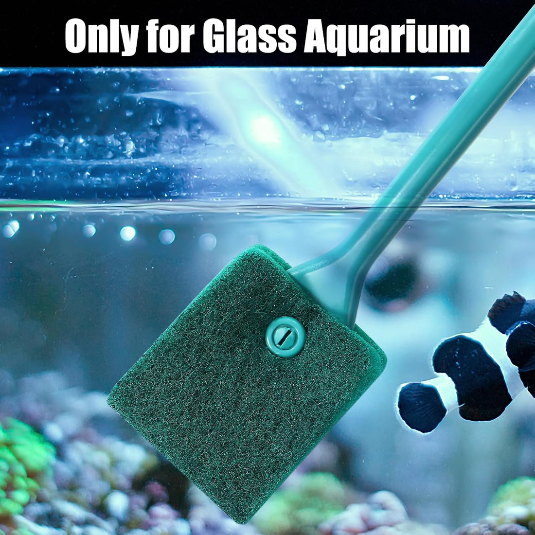 AQUANEAT Fish Tank Cleaning Tools, Aquarium Double Sided Sponge Brush
