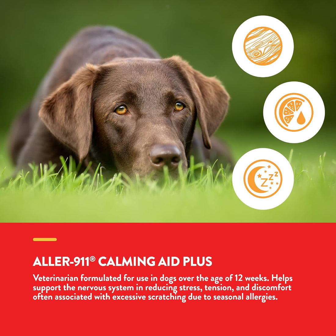 NaturVet Aller-911 Calming Aid & Allergy Aid Dog Supplement