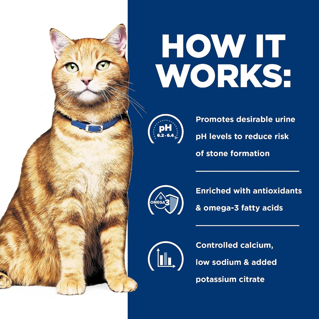 Hill's Prescription Diet c/d Multicare Wet Cat Food