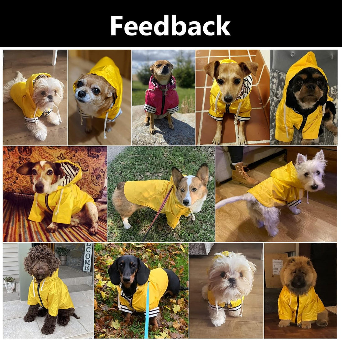 Dog Raincoat rain Jacket Raincoat Dogs Waterproof Small Medium Breeds