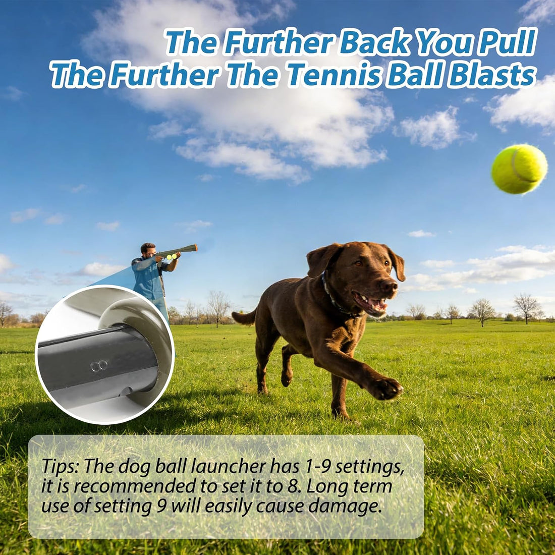 Dog Ball Launcher, Tennis Ball Thrower Launches 30+ft