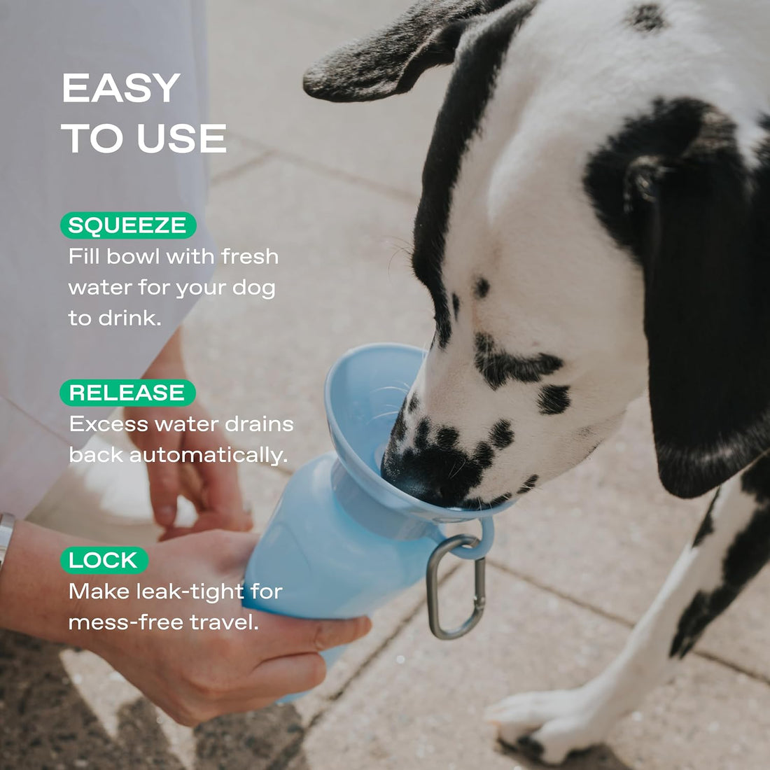 Springland Classic Portable Dog Water Bottle with Built-in Bowl