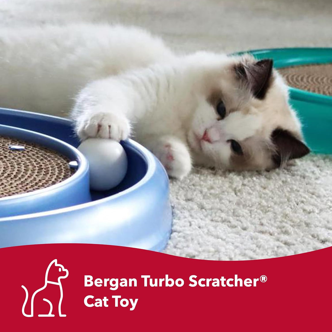 Coastal Pet Turbo Scratcher Cat Toy