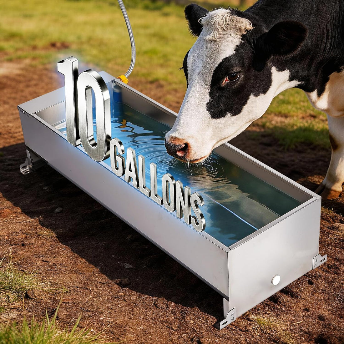 Automatic Livestock Water Trough Large Capacity Outdoor 2 Gallon