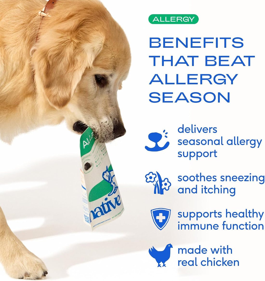 Native Pet Dog Allergy Chews