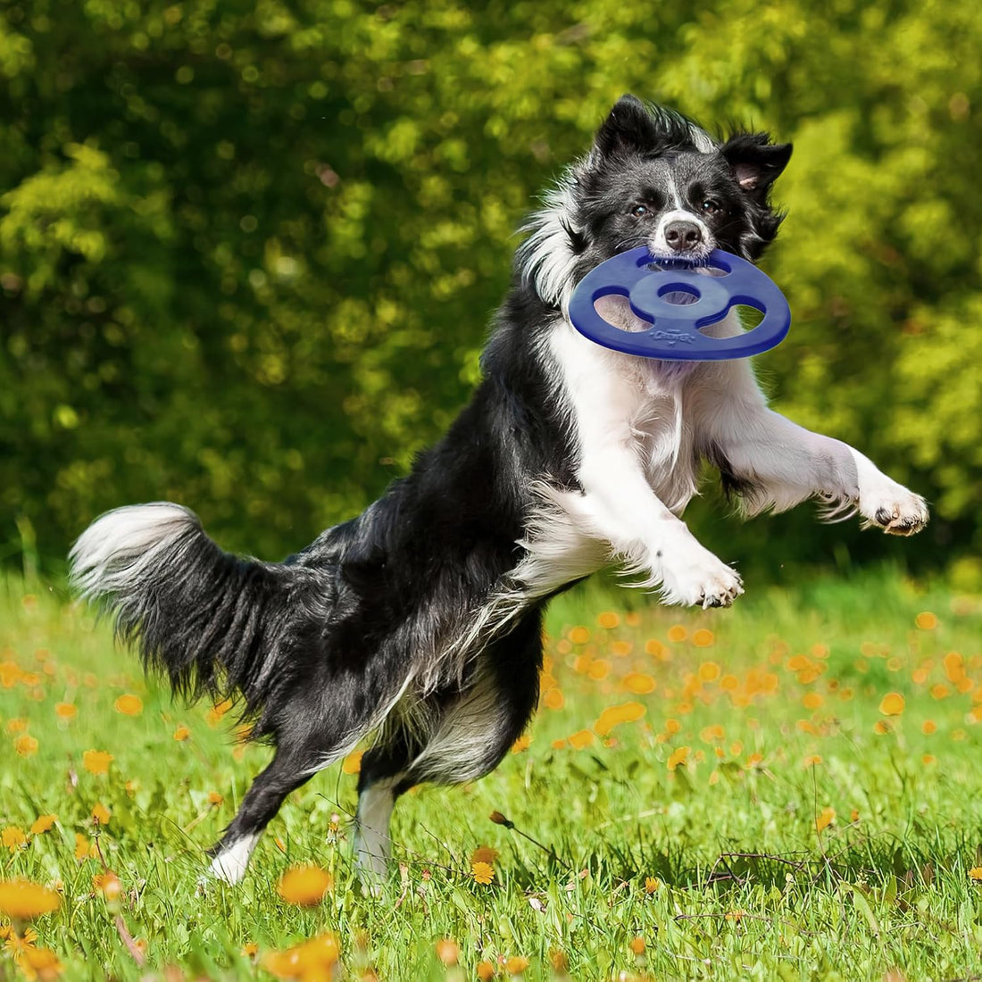 SuperChewer Tough Tug-of-War Flying Disc Toy | Lifetime Replacement