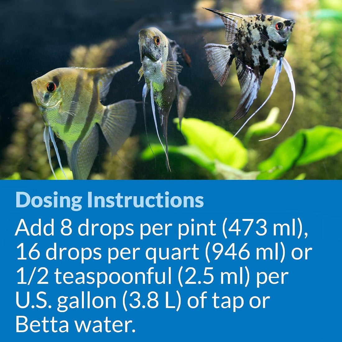 API Betta Water Conditioner Betta Fish Freshwater Aquarium Water