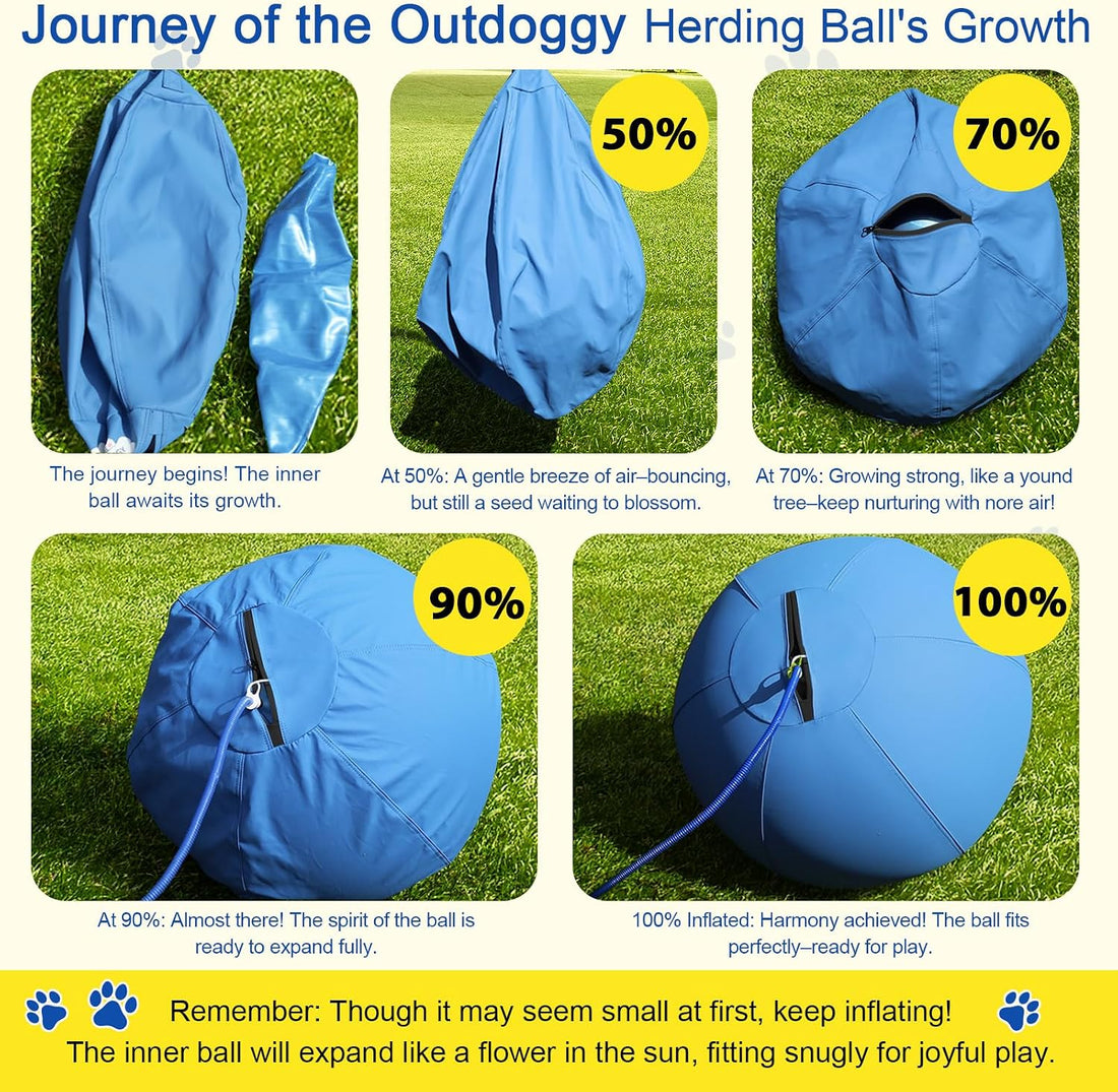 18'' Herding Ball for Dogs, Heavy Duty for Small & Medium Breeds