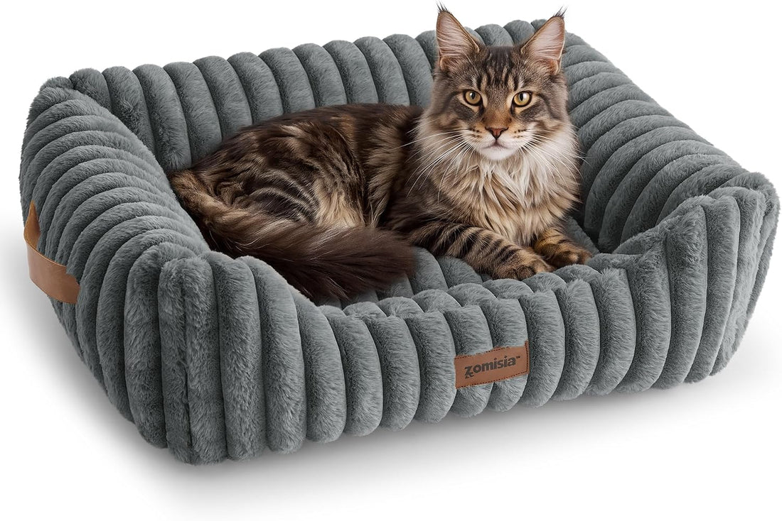 ZOMISIA Orthopedic Large Cat Bed with Removable Washable Cover