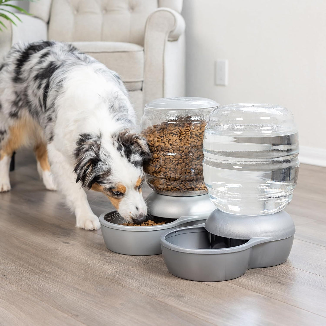 Petmate Replendish Gravity Waterer with Microban, 2.5 Gallons